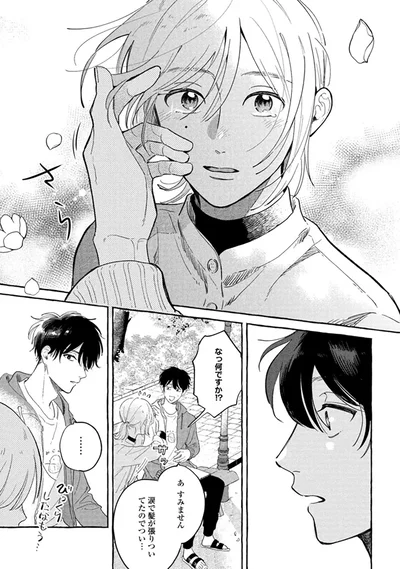 『先生とひととせの青』より
