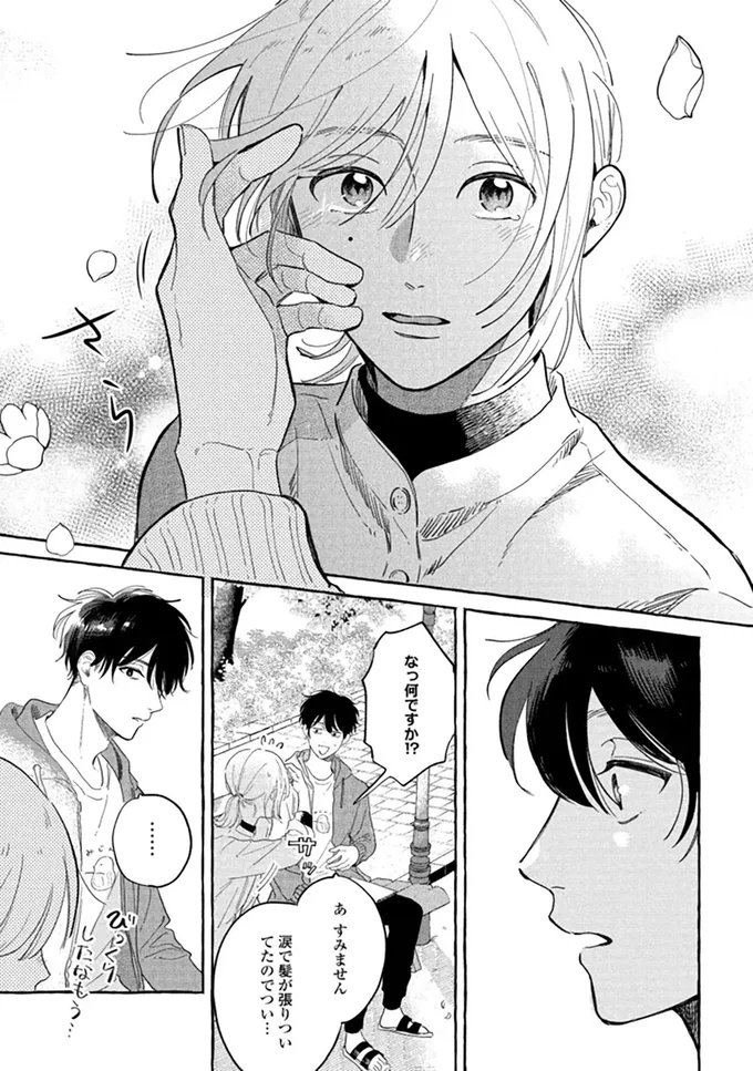 『先生とひととせの青』より
