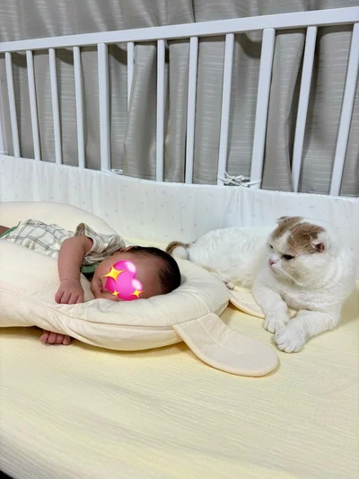 赤ちゃんの様子をうかがうえもちゃん▶まだ猫たちの存在には気づいていない赤ちゃん（⇒次へ）
