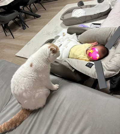 出会って3日目のえもちゃんと赤ちゃん▶1カ月の記念日にはついに…！（⇒次へ）