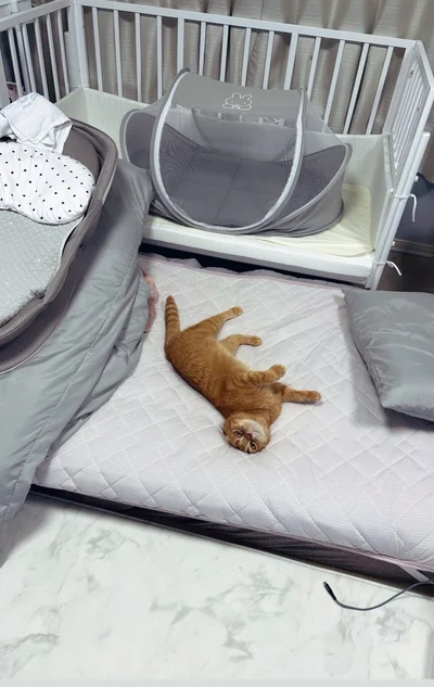 自分のだ！とごろごろしてるとろちゃん▶指を口に当てている…（⇒次へ）