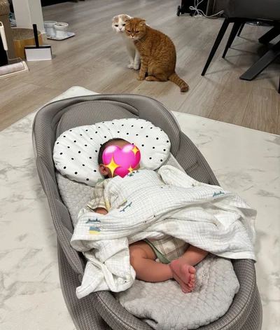 兄猫のとろちゃんも呼んできました▶3匹の猫ちゃんと暮らしています（⇒次へ）