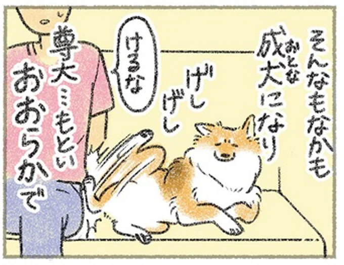 尊大…もといおおらかで