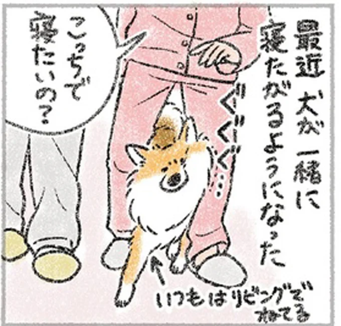 こっちで寝たいの?