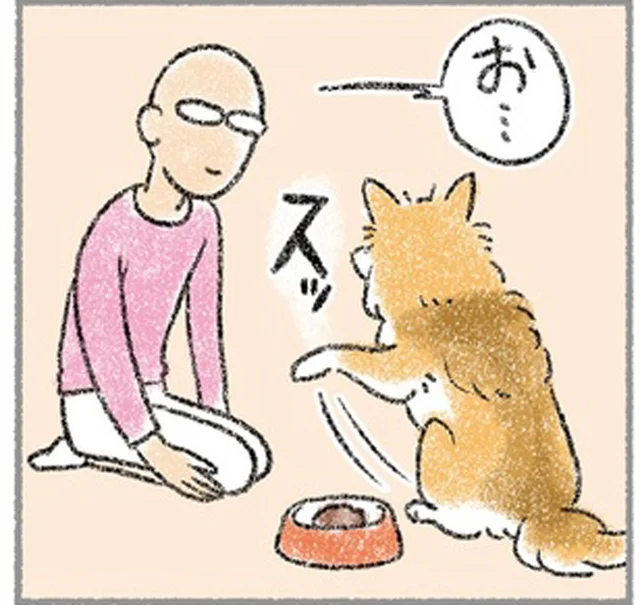 お手をさせていると思っていたけれど。先に手を差し出しているのは？