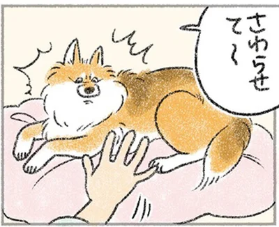 さわらせて～