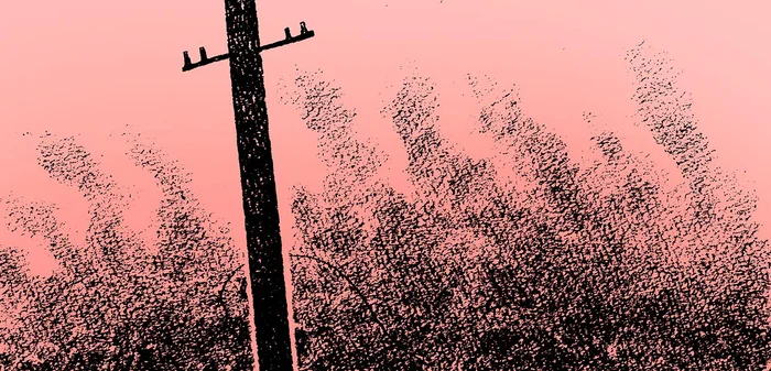 多くの負傷者と死体の山。翌朝目にしたのは、身の毛もよだつ光景だった／わたくし96歳が語る 16歳の夏（4）
