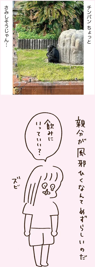 『うちらはマブダチ season3 大人になってもマブダチって最強やん！編』より