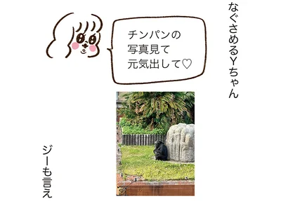 なぐさめるYちゃん