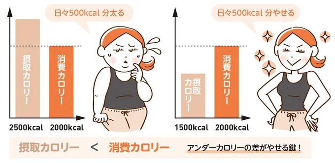 やせる体質をつくるアンダーカロリーとは