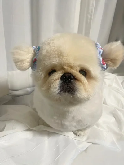 水色も似合うぱるくん▶いちごファッションも似合います（⇒次へ）