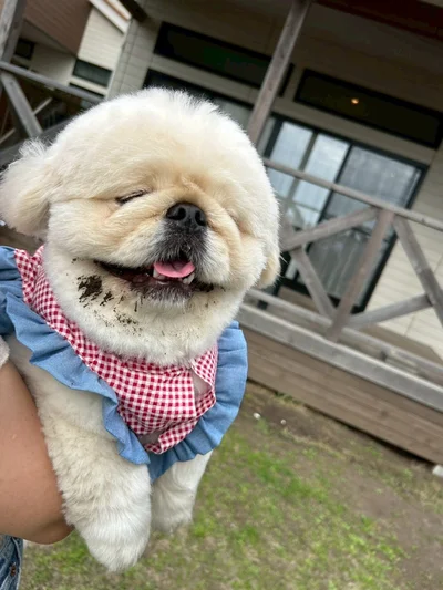 土がついたぱるくん▶想像以上に大きいいけれど…やっぱり可愛い！（⇒次へ）