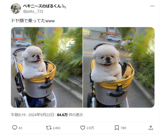 堂々とした姿のぱるくん▶腕にも注目！（⇒次へ）