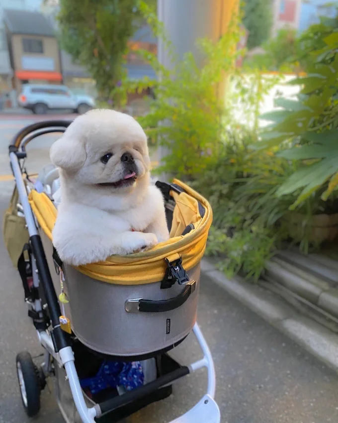 ふちに乗せた腕がたまりません▶「ずっと乗っててほしい。」などのコメントも集まり大人気（⇒次へ）