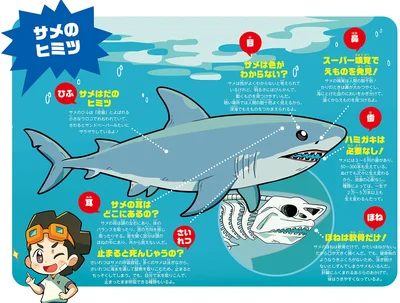 『ぶっ飛び☆ 理科でゴー！ 海洋・気候編』より