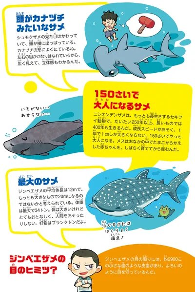 『ぶっ飛び☆ 理科でゴー！ 海洋・気候編』より