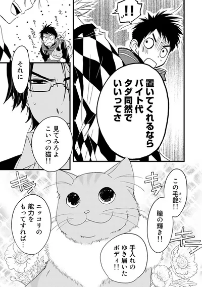 『純喫茶ねこ』より