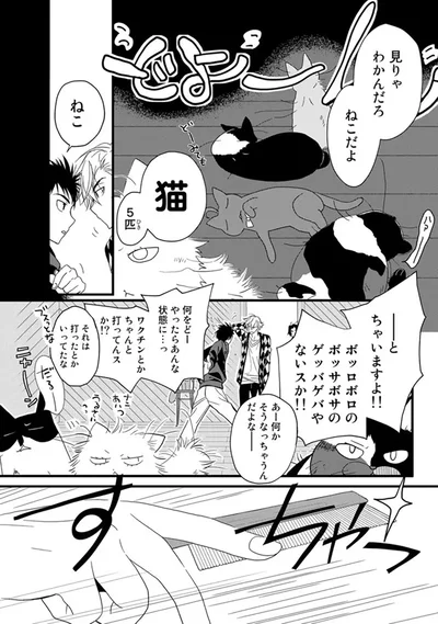 『純喫茶ねこ』より