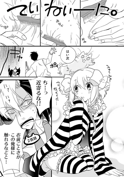 『純喫茶ねこ』より