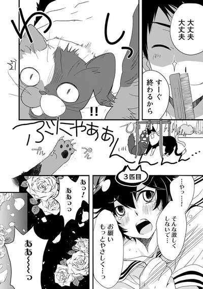 『純喫茶ねこ』より