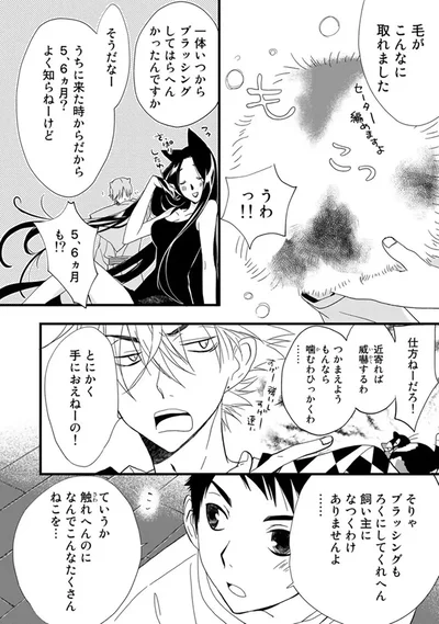 『純喫茶ねこ』より