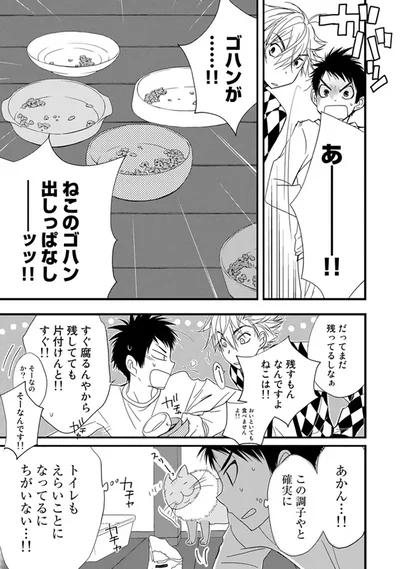 『純喫茶ねこ』より