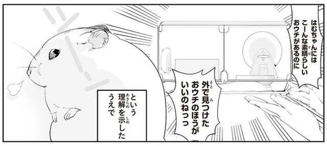 散歩で見つけたおウチの方がいいのね!? ハムスターの別荘づくりを支援した結果／はむはむづくし2（2）