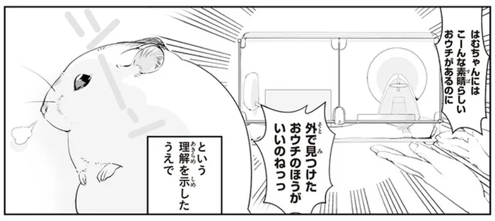 散歩で見つけたおウチの方がいいのね!? ハムスターの別荘づくりを支援した結果／はむはむづくし2（2）