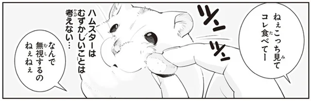 飼い主のかまって攻撃にイラッ！ あまりのしつこさにハムちゃんは／はむはむづくし2（5）