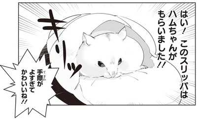 このスリッパはハムちゃんがもらいました！