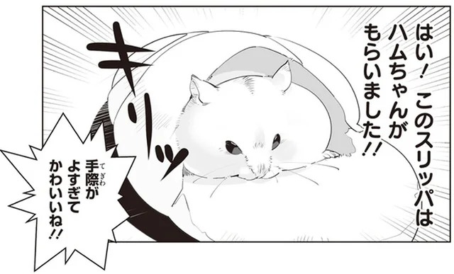 足元にハムスターがやってきた、と思ったら!? 手際よくスリッパを強奪！／はむはむづくし2（6）