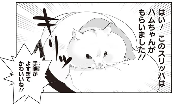 このスリッパはハムちゃんがもらいました!