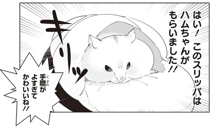 足元にハムスターがやってきた、と思ったら!? 手際よくスリッパを強奪！／はむはむづくし2（6）
