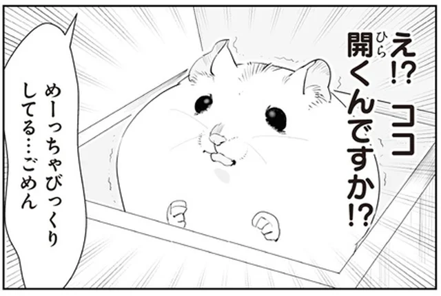 天井が開く新しいおウチにおびえるハムちゃん。驚かせてごめん 、と思ったら