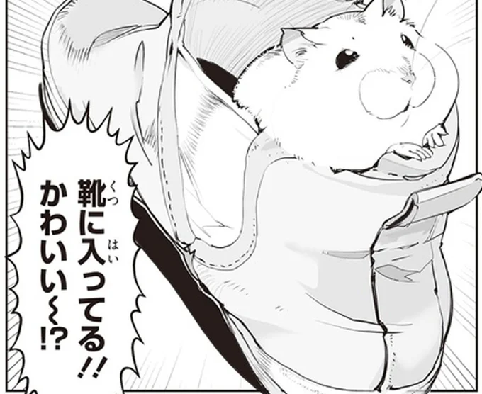 靴に入ってる!!