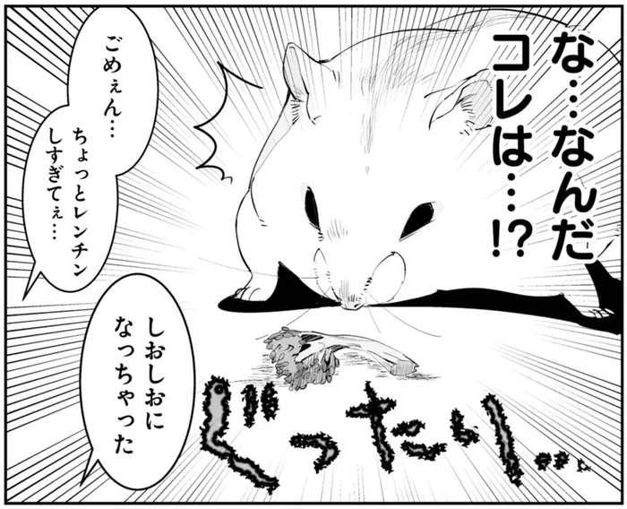 な…なんだコレは…!? 大好物の無惨な姿を見たハムスターの反応は