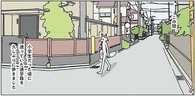 小学生だった頃に通っていた通学路を久しぶりに歩きました