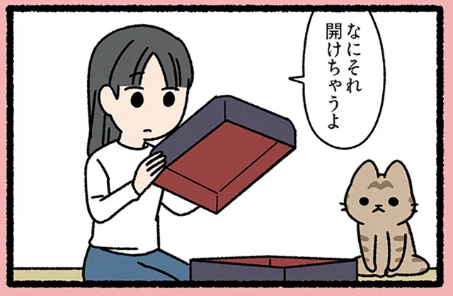 【玉手箱なねこ】箱を開けたらショックで真っ白に!? 入っていた中身は