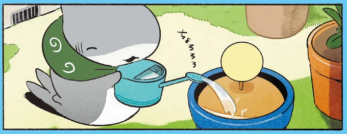 おはなにお水をあげつ子ザメ