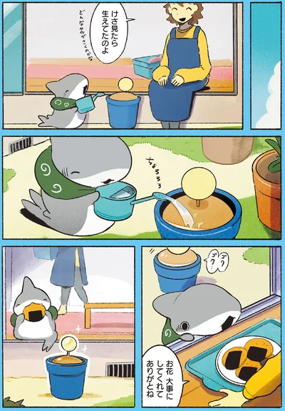 けさ見たら生えてたのよ