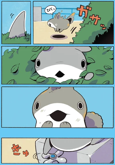子ザメが現れて