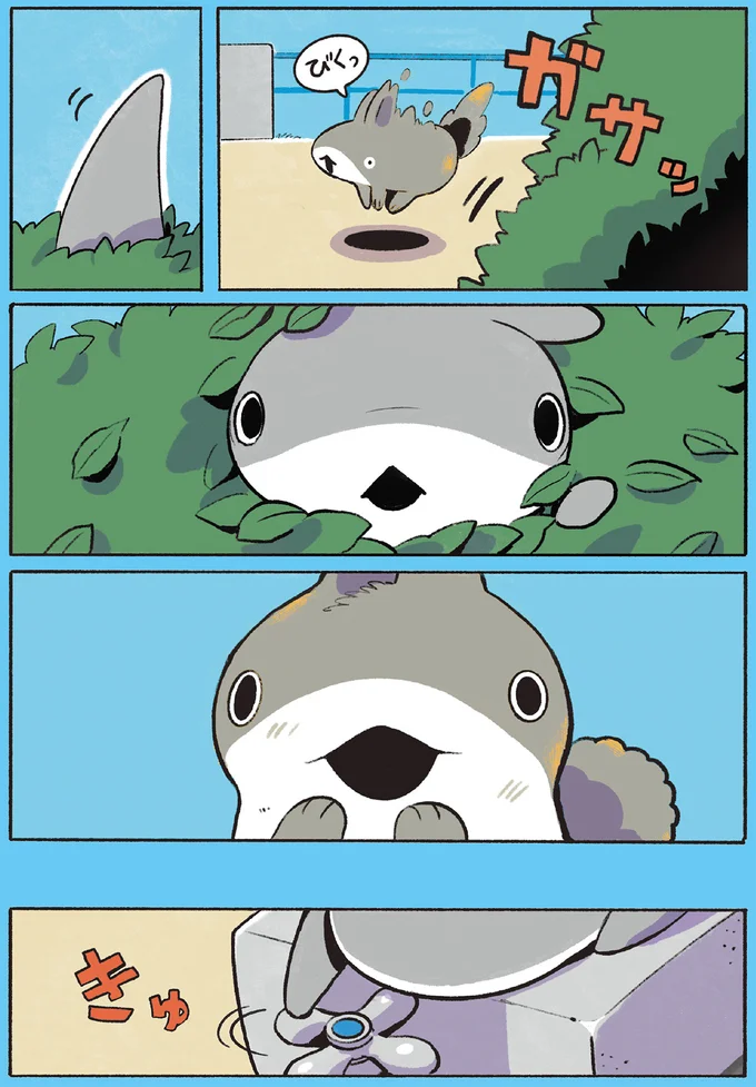 子ザメが現れて