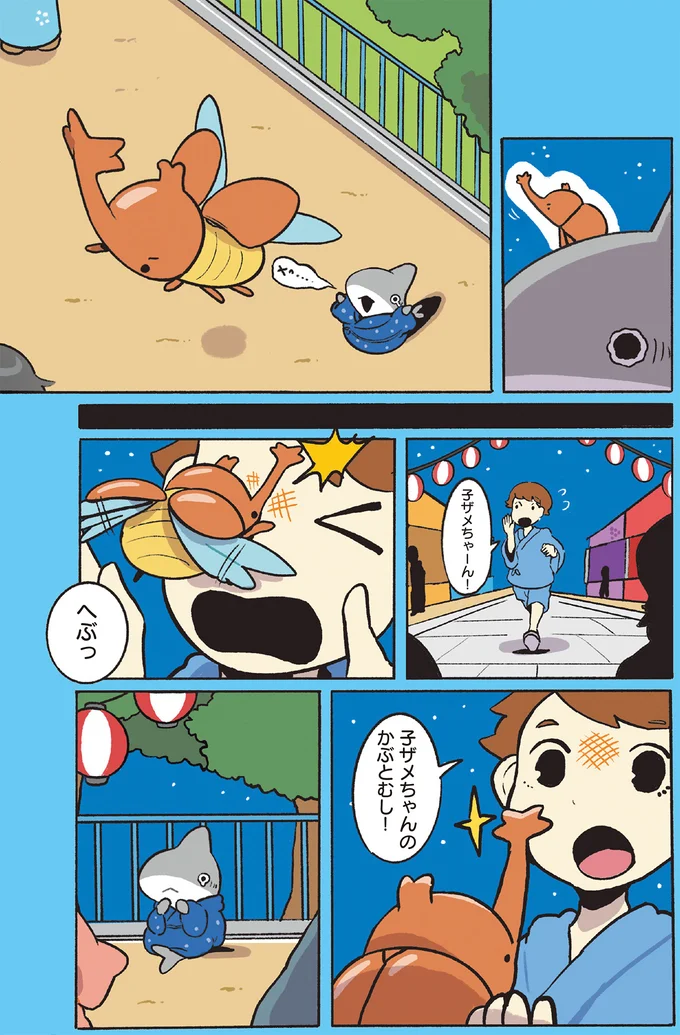子ザメちゃんのかぶとむし！