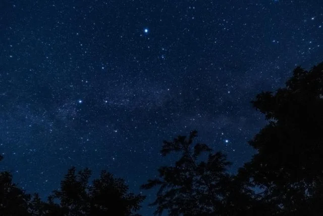 【子どもと楽しむ夏休み！自由研究のヒント】星空を見て「夏の大三角」を探してみよう（2）