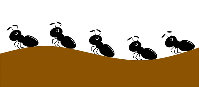 【子どもと楽しむ夏休み！自由研究のヒント】アリの行列はなぜできる？