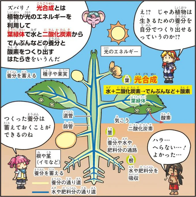 緑の多い場所の空気は、新鮮で気持ちよく感じられます