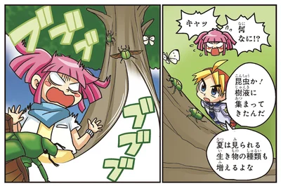 夏は虫の観察にぴったり