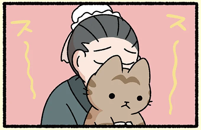 ねこ吸いをやりすぎてしまう