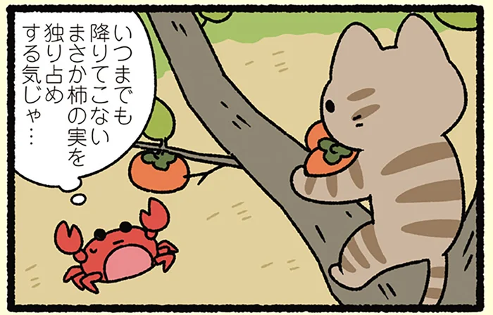 【さるかに合戦なねこ】柿の実を独り占めする気か？ 木の上に陣取るねこを見たカニの邪推／にゃんと！ねこむかしばなし（5）