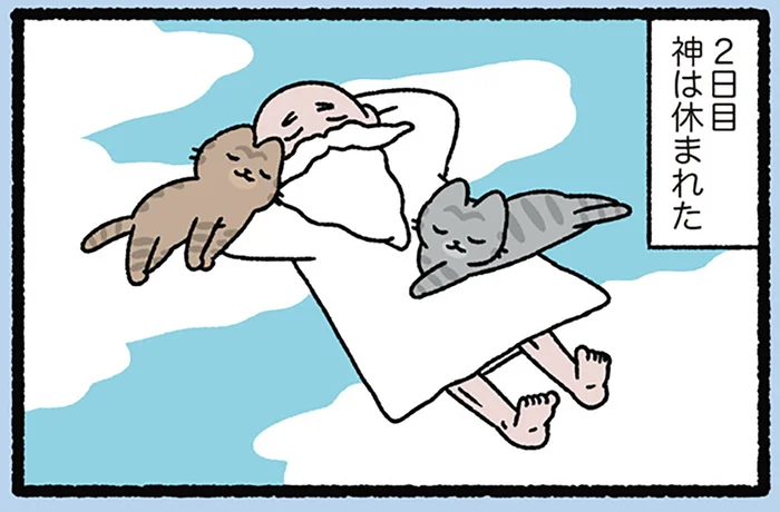 【天地創造なねこ】ねこを作って、休んで。神様による「創世記」のお話